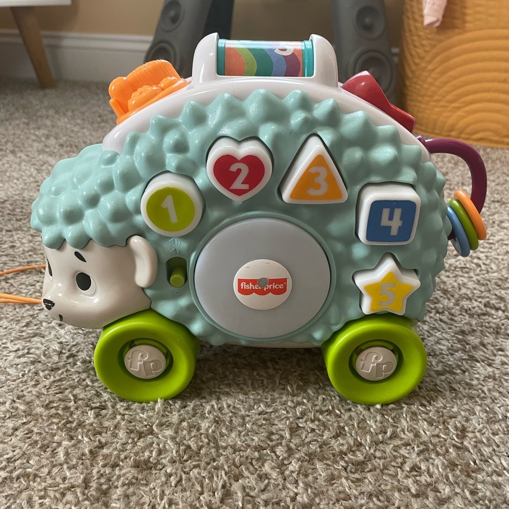Fisher-Price Interactive Hedgehog Toy with Green and Blue